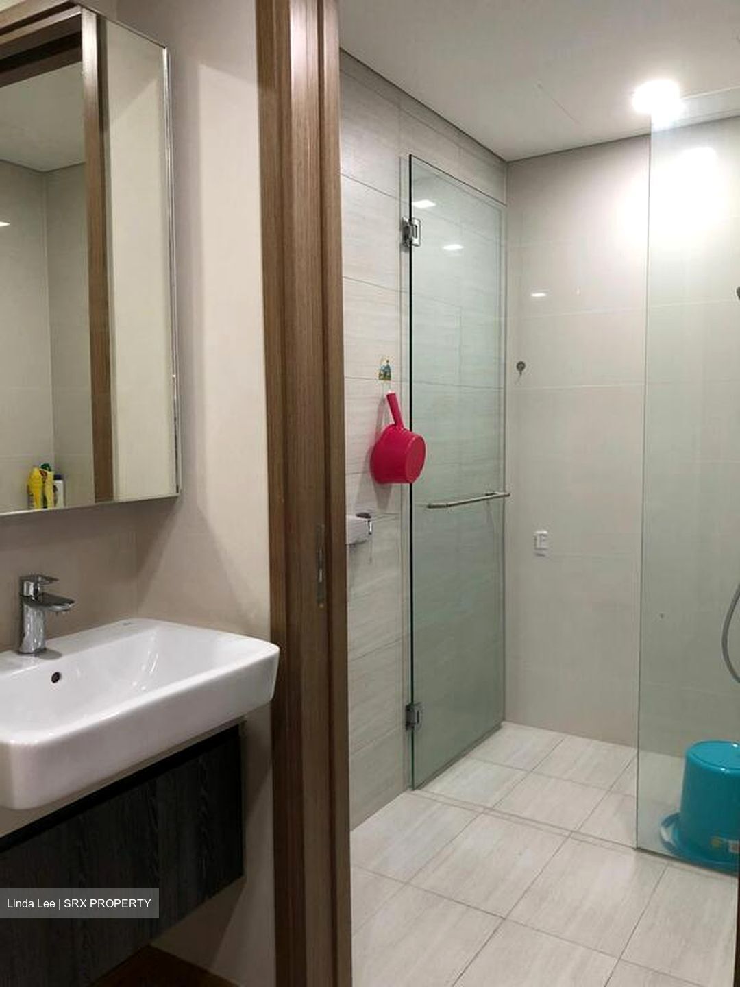 Lakeville (D22), Condominium #501718061